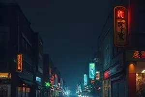 长夜漫游者完结剧集封面，夜行列车车窗剪影